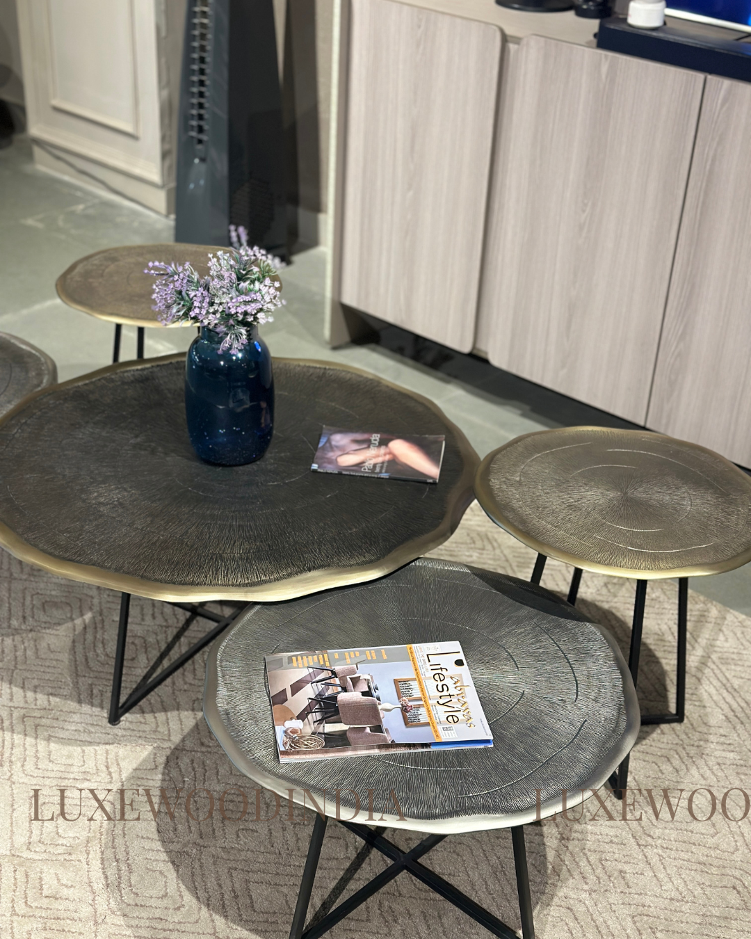 Sundance Centre / Coffee Table Set of 5