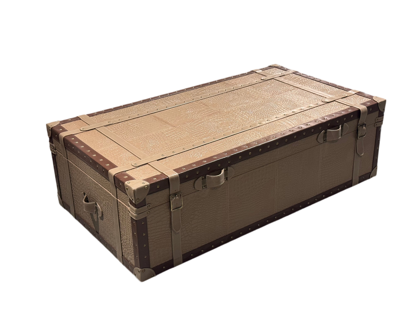 Bob Genuine Leather Trunk / Centre Table with storage