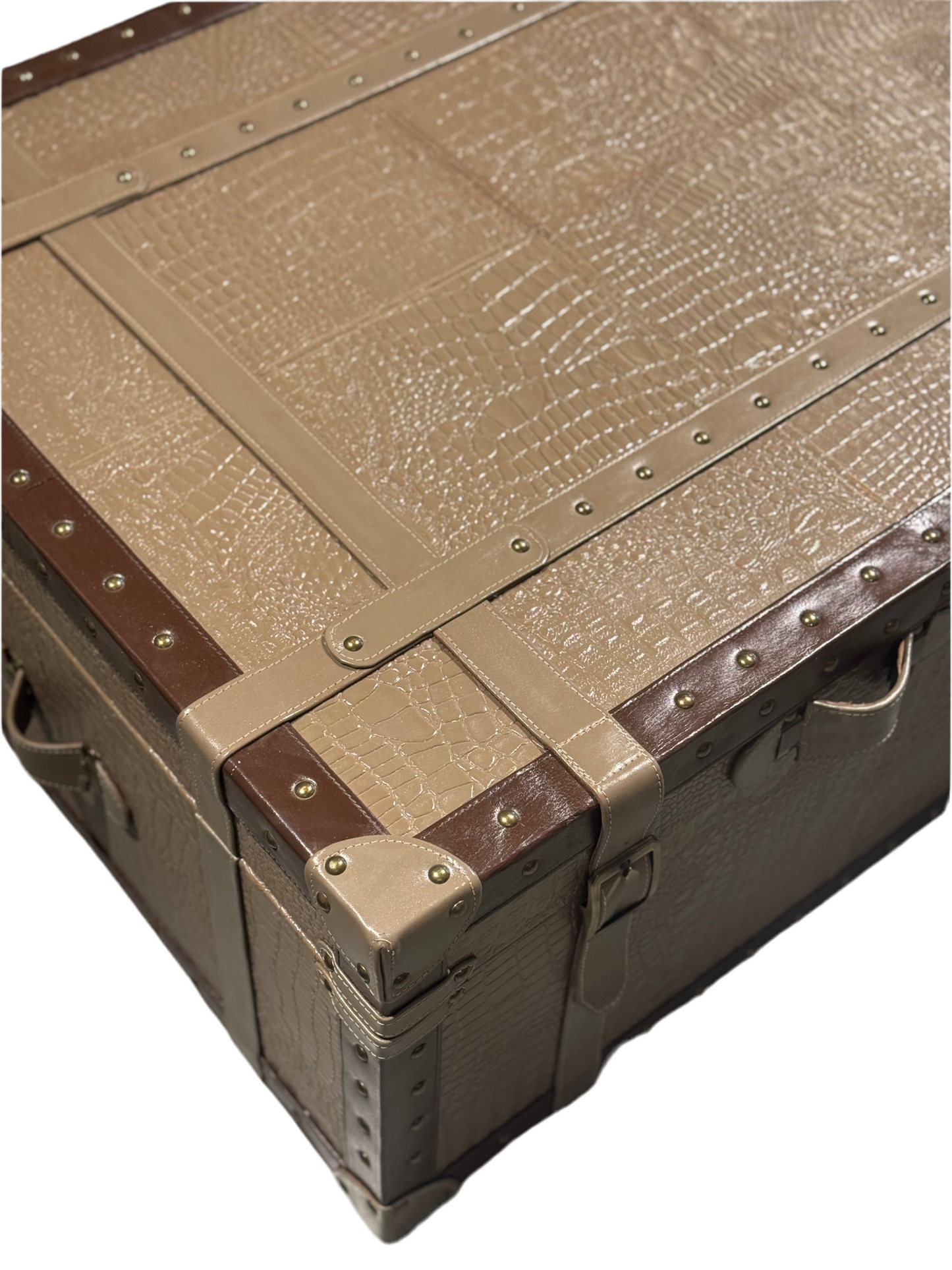 Bob Genuine Leather Trunk / Centre Table with storage